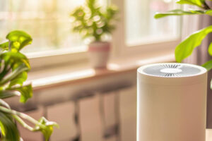 Melhor desumidificador: os 10 melhores em 2025