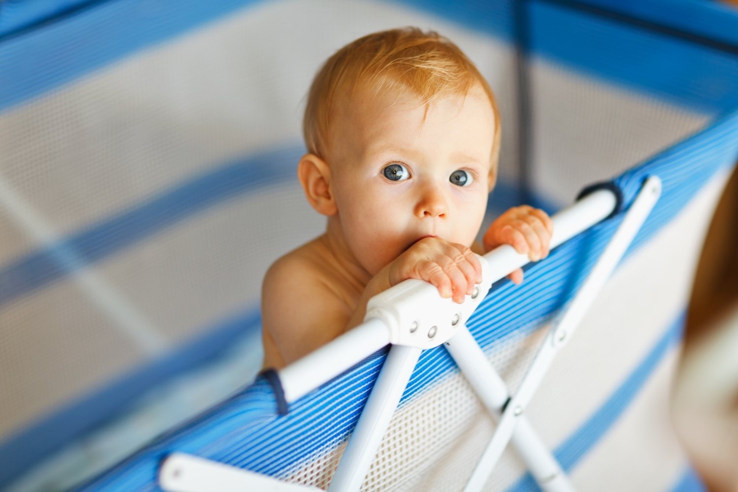 Melhor chiqueirinho para bebê: os 8 melhores em 2024