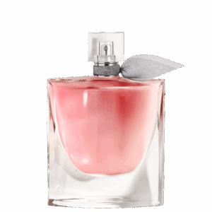 Perfume Feminino La Vie Est Belle Lancome Eau de Parfum 100ml
